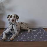 Reusable Dog Training Mat